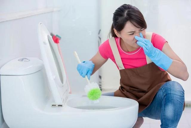 Các mẹo xử lý mùi hôi nhà vệ sinh cực kỳ hiệu quả, nên tham khảo