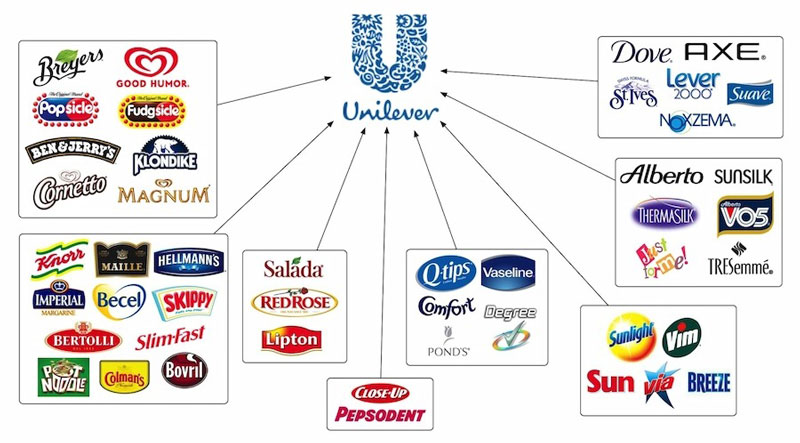 Bí quyết để trở thành nhà cung cấp của Unilever: Hướng dẫn từ A - Z